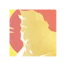 FpsFlounder profile icon